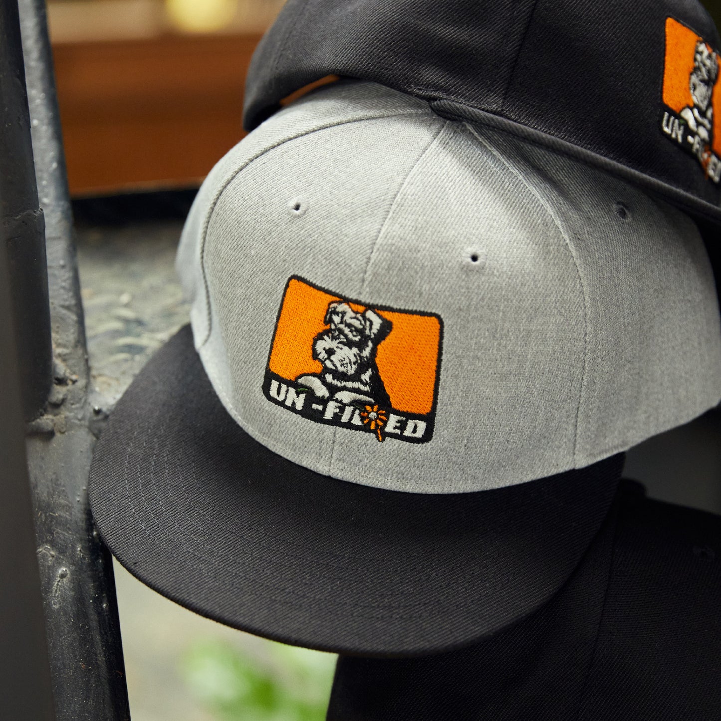 GERBERA DOG BOX LOGO EMB BB CAP/Schnauzer