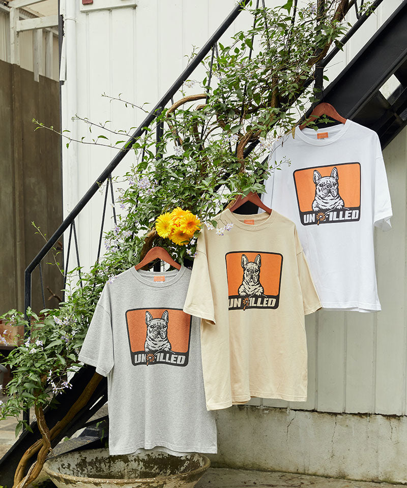 GERBERA DOG BOX LOGO BIG-T/French Bulldog