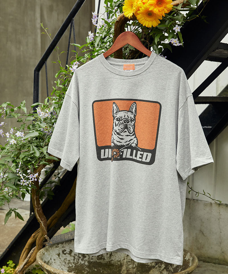 GERBERA DOG BOX LOGO BIG-T/French Bulldog