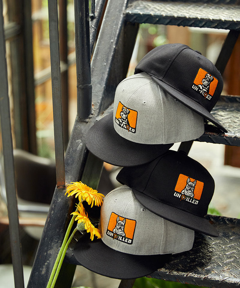 GERBERA DOG BOX LOGO EMB BB CAP/Schnauzer