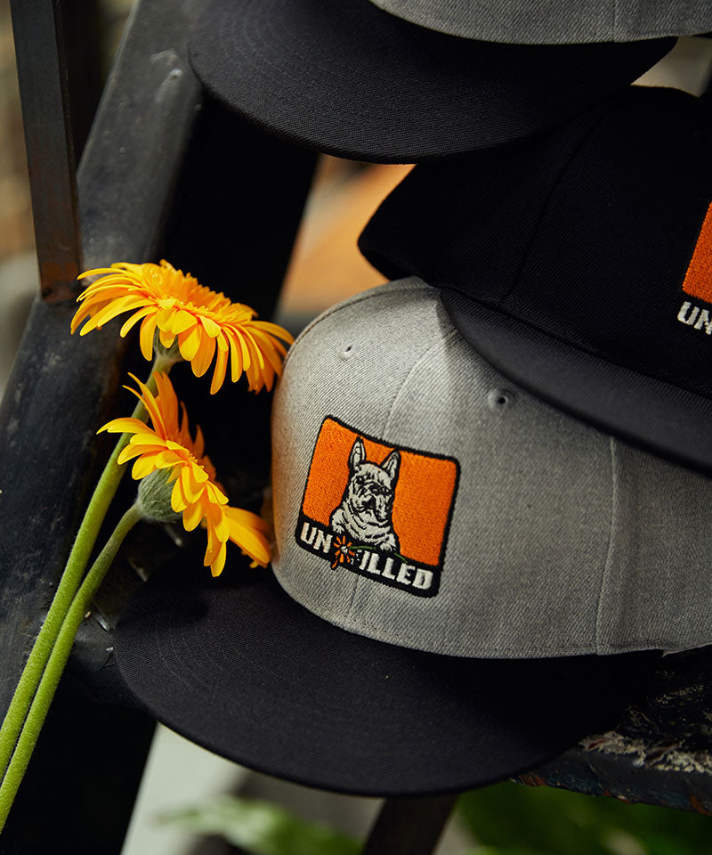 GERBERA DOG BOX LOGO EMB BB CAP/French Bulldog