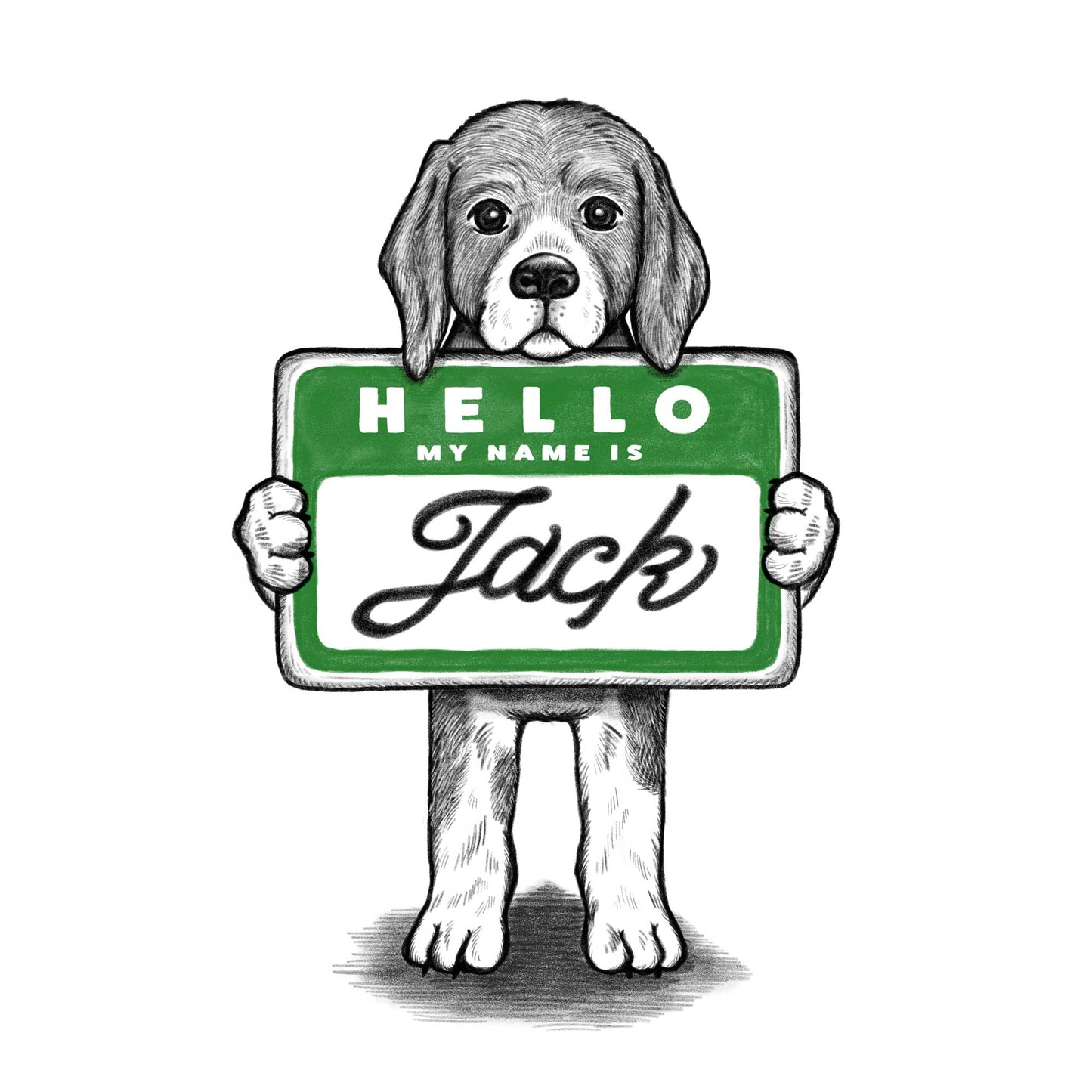 【MY NAME IS...】Beagle