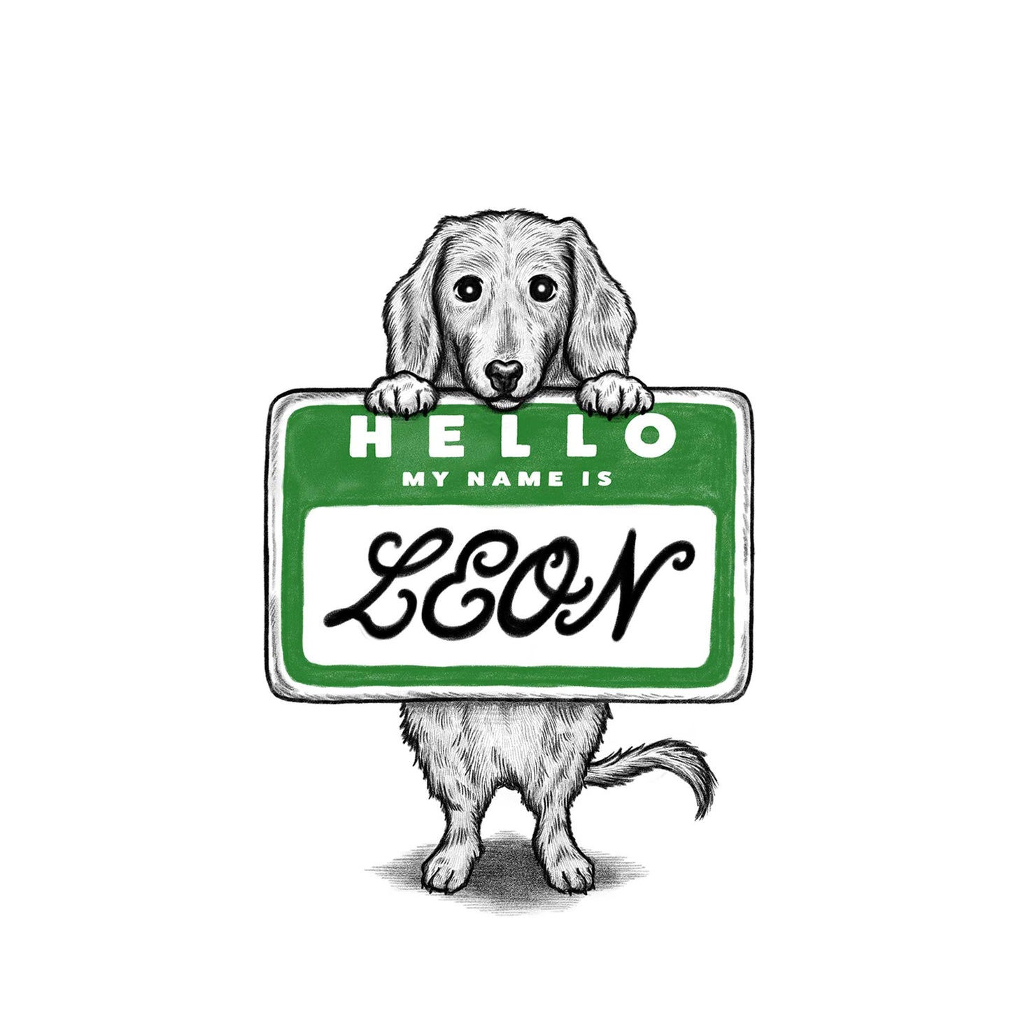 【MY NAME IS...】Dachshund