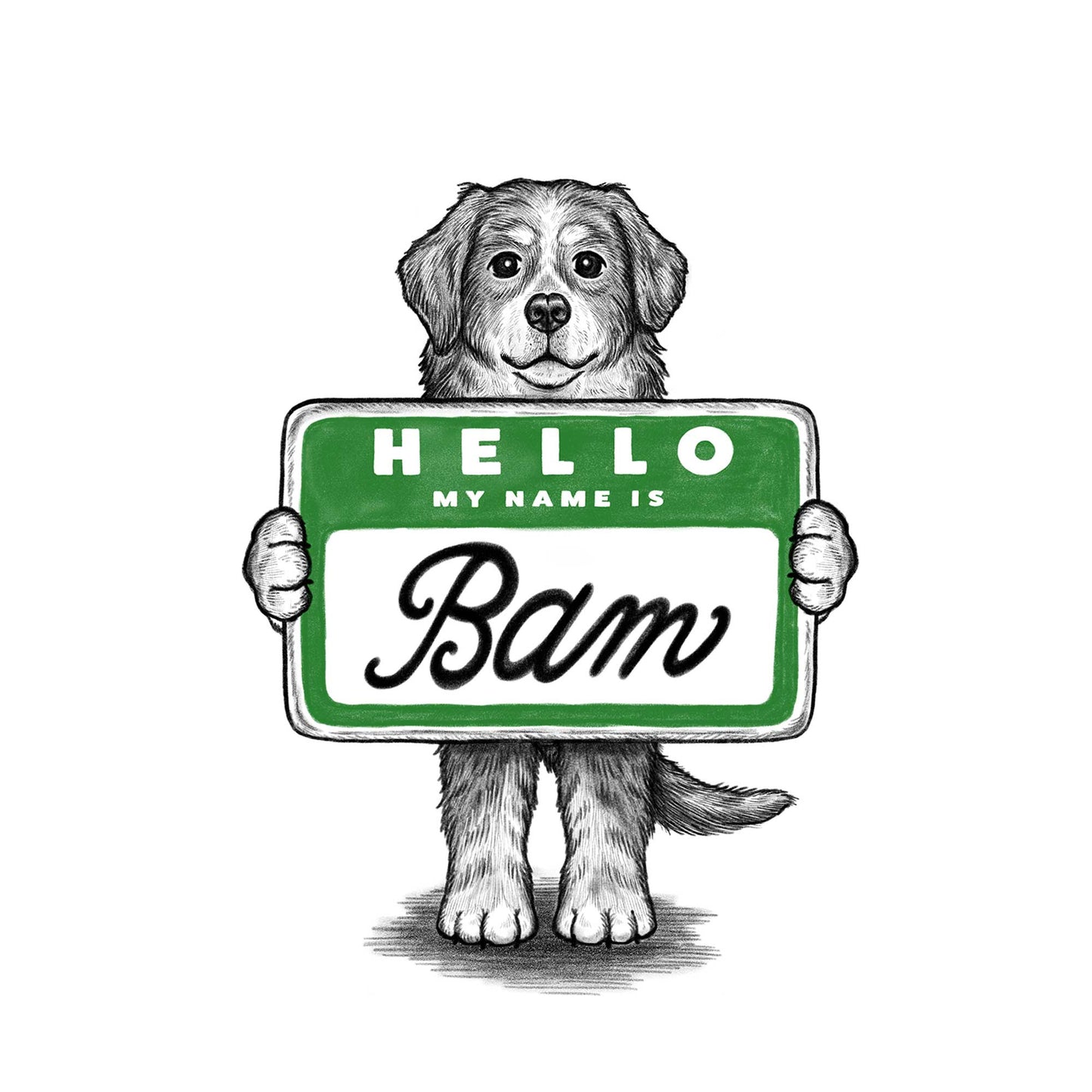 【MY NAME IS...】Bernese