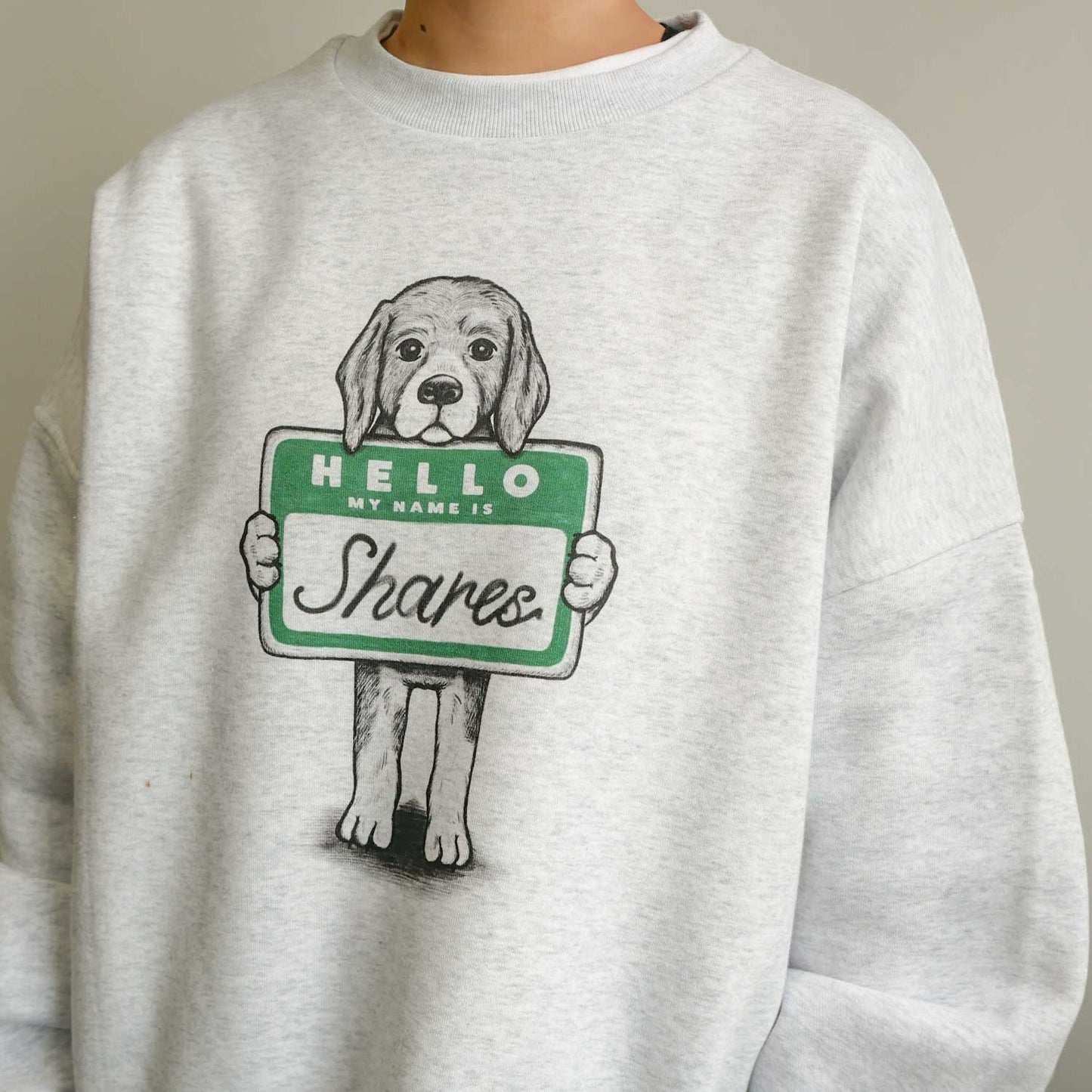 【MY NAME IS...】Beagle