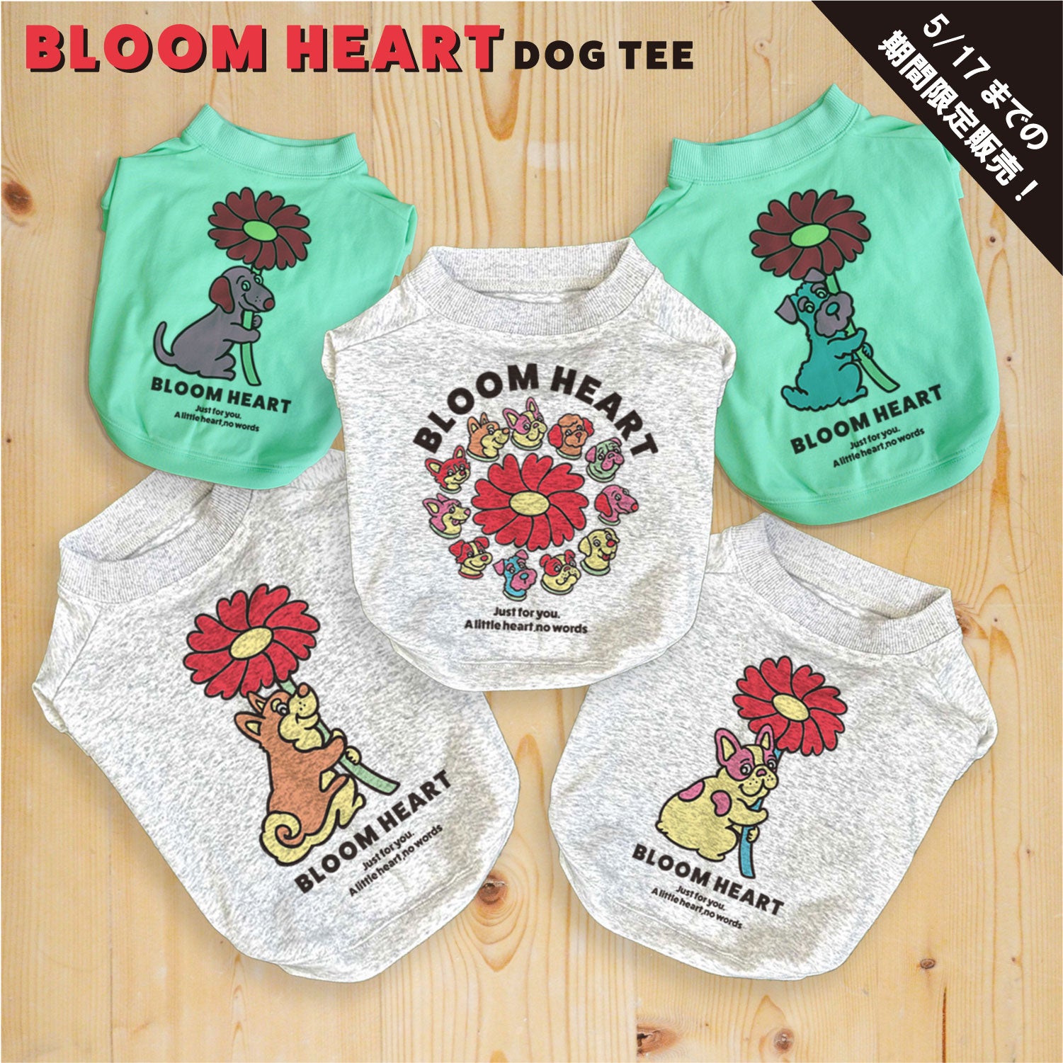 期間限定！ 5/17 まで販売中】 〈 BLOOM HEART♡〉DOG T-SHIRTS/ 犬用