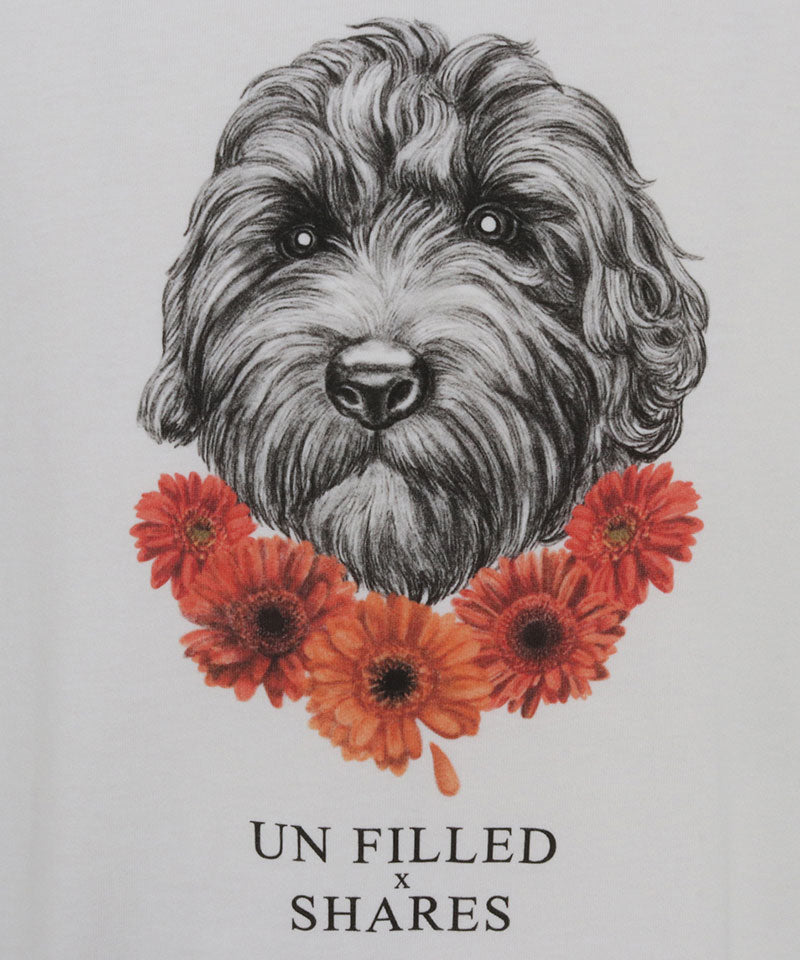 GERBERA DOG BIG-T/Australian Labradoodle
