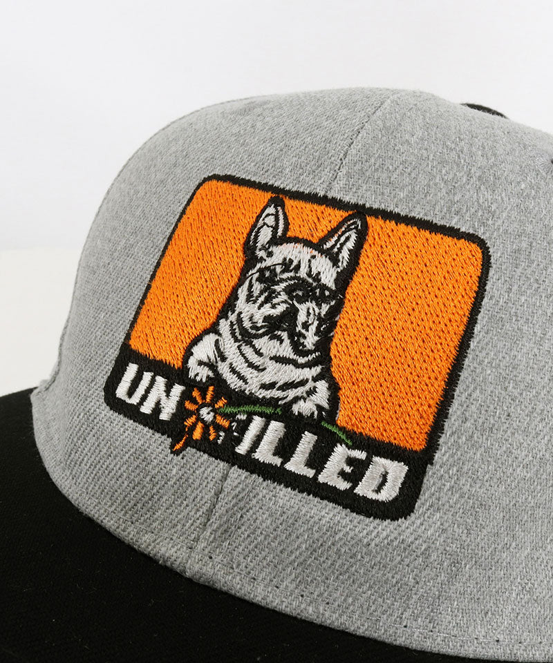 GERBERA DOG BOX LOGO EMB BB CAP/French Bulldog