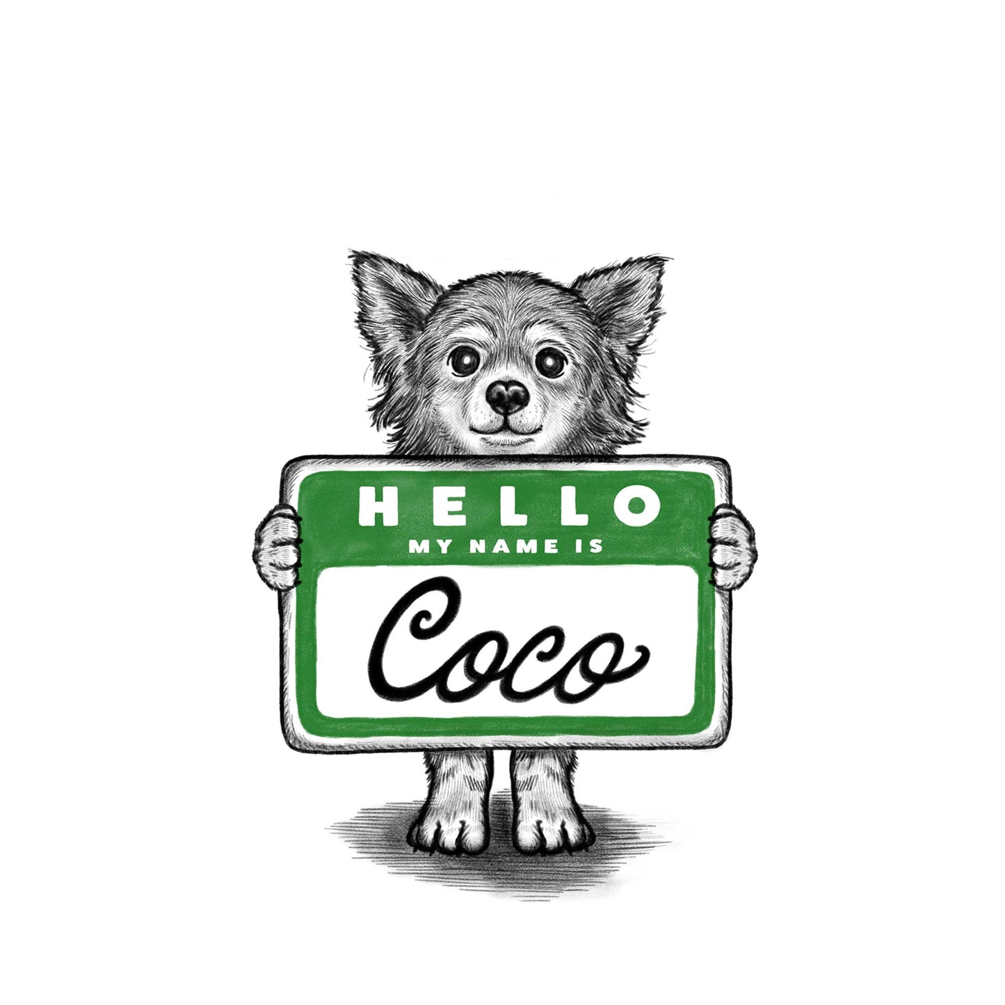 【MY NAME IS...】Chihuahua