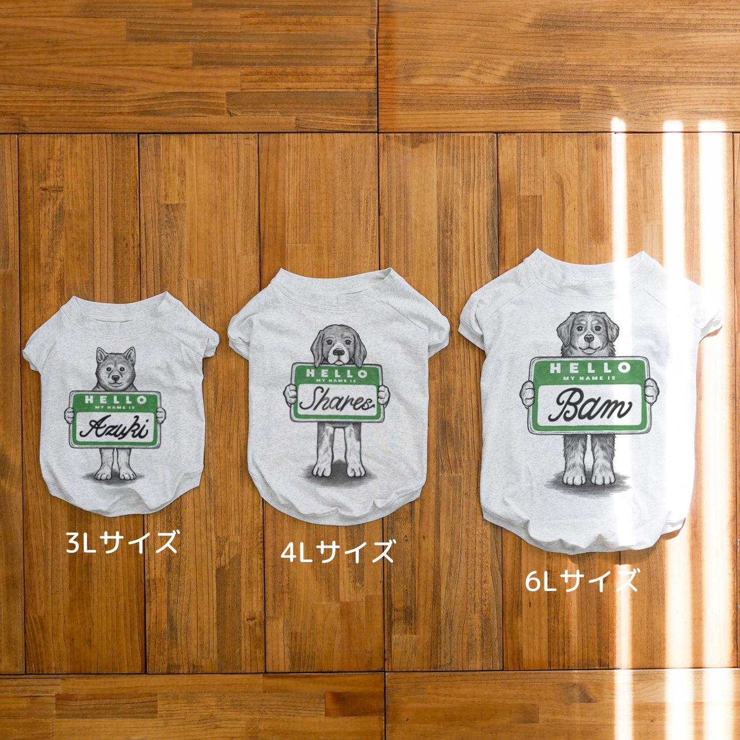 【MY NAME IS...】Bernese