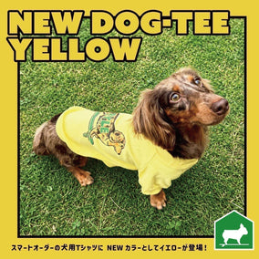スマートオーダーの犬用Tシャツに【イエローカラー】が新登場！