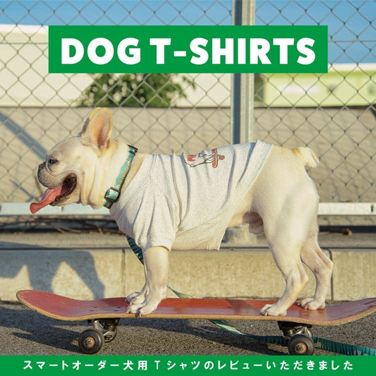 犬用Tシャツレビュー