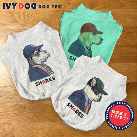 【期間限定！ 3/22 まで販売中】 〈 IVY DOG〉 DOG T-SHIRTS/ 犬用 T シャツ