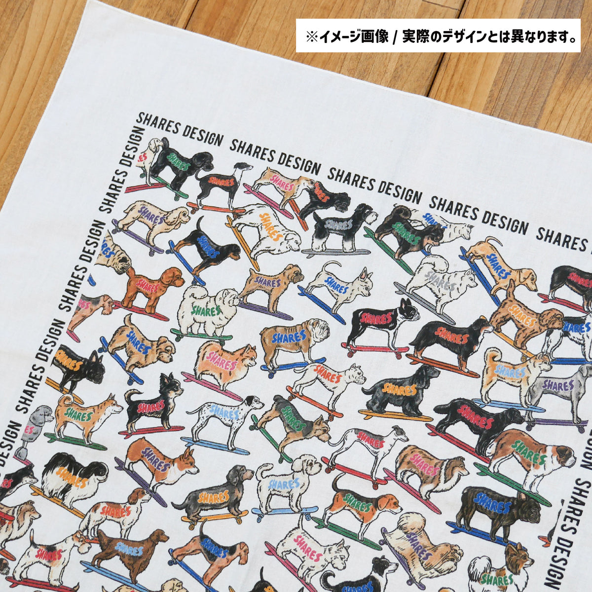 ALL OVER/ アメコカ✕イングリッシュコッカー