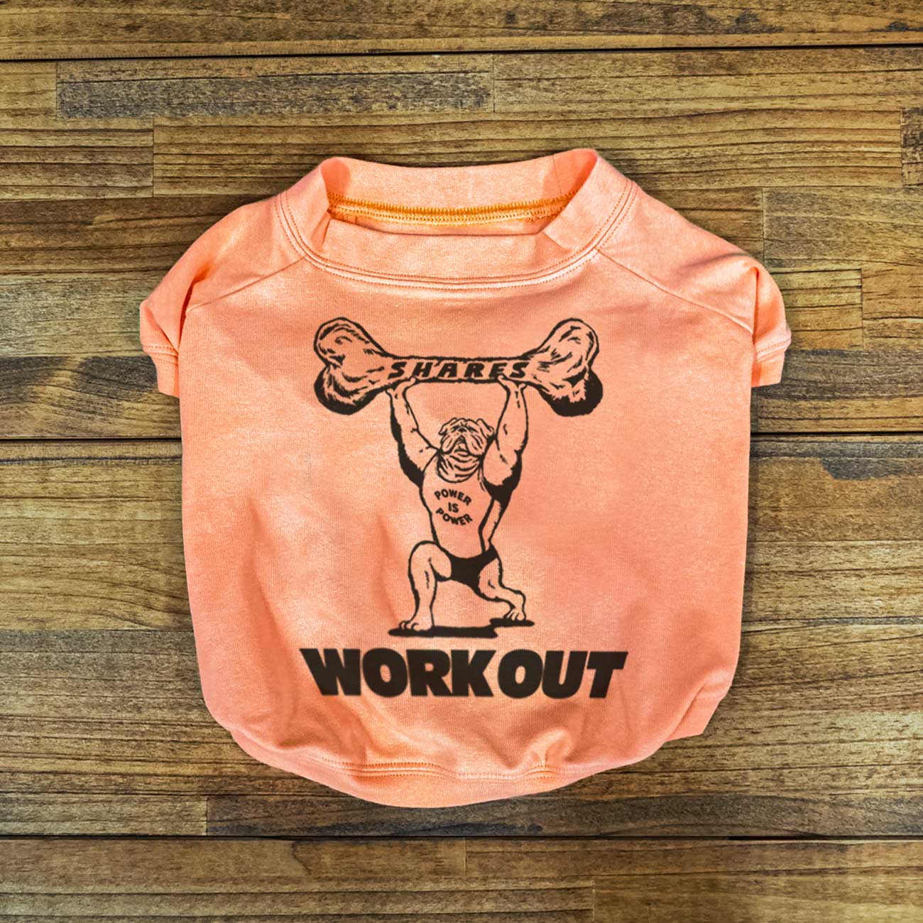【受注生産！6/13まで予約】POWER IS POWER - DOG TEE / 犬用Ｔシャツ