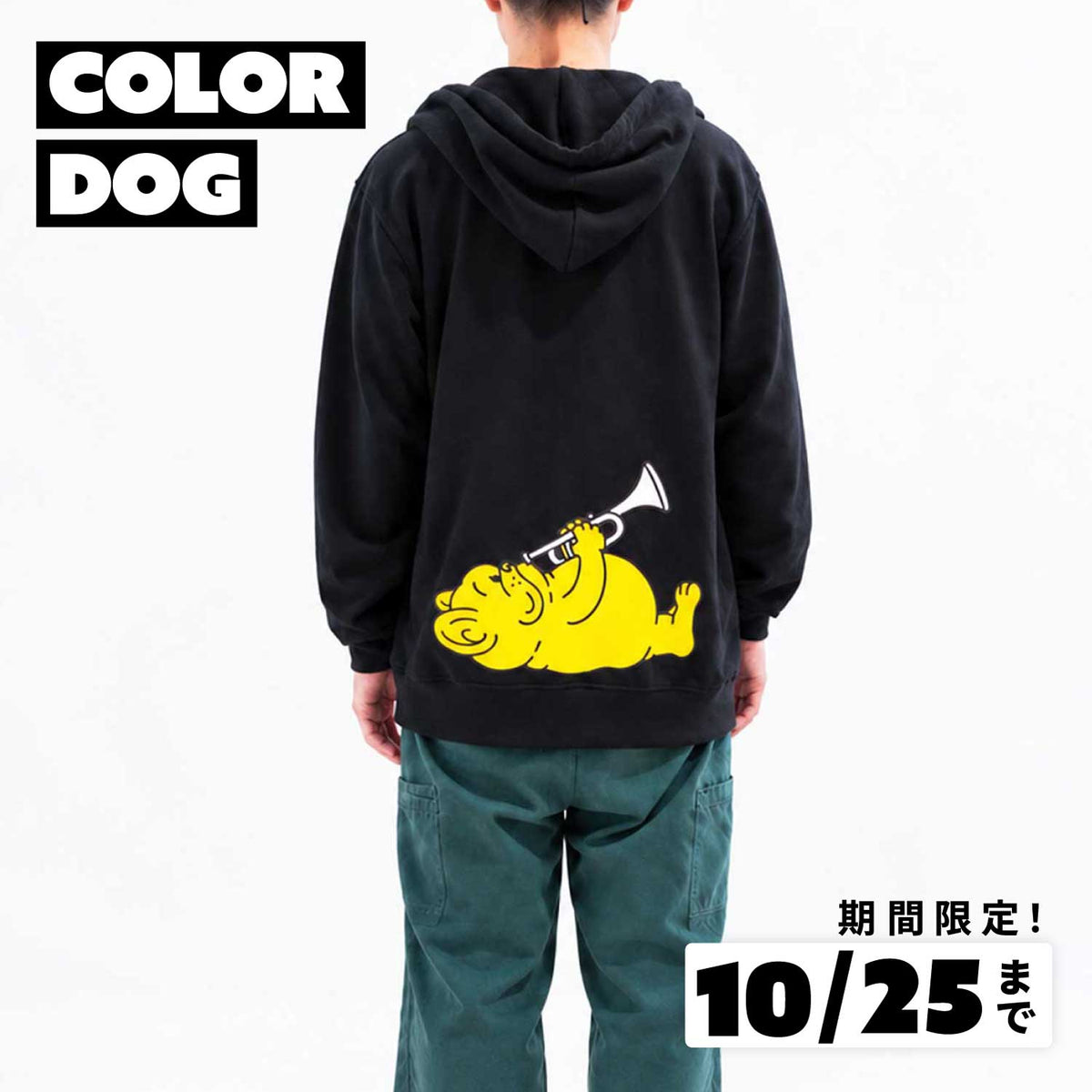 【期間限定！ 10/25 まで販売中】 〈COLOR-DOG〉 ZIPパーカー