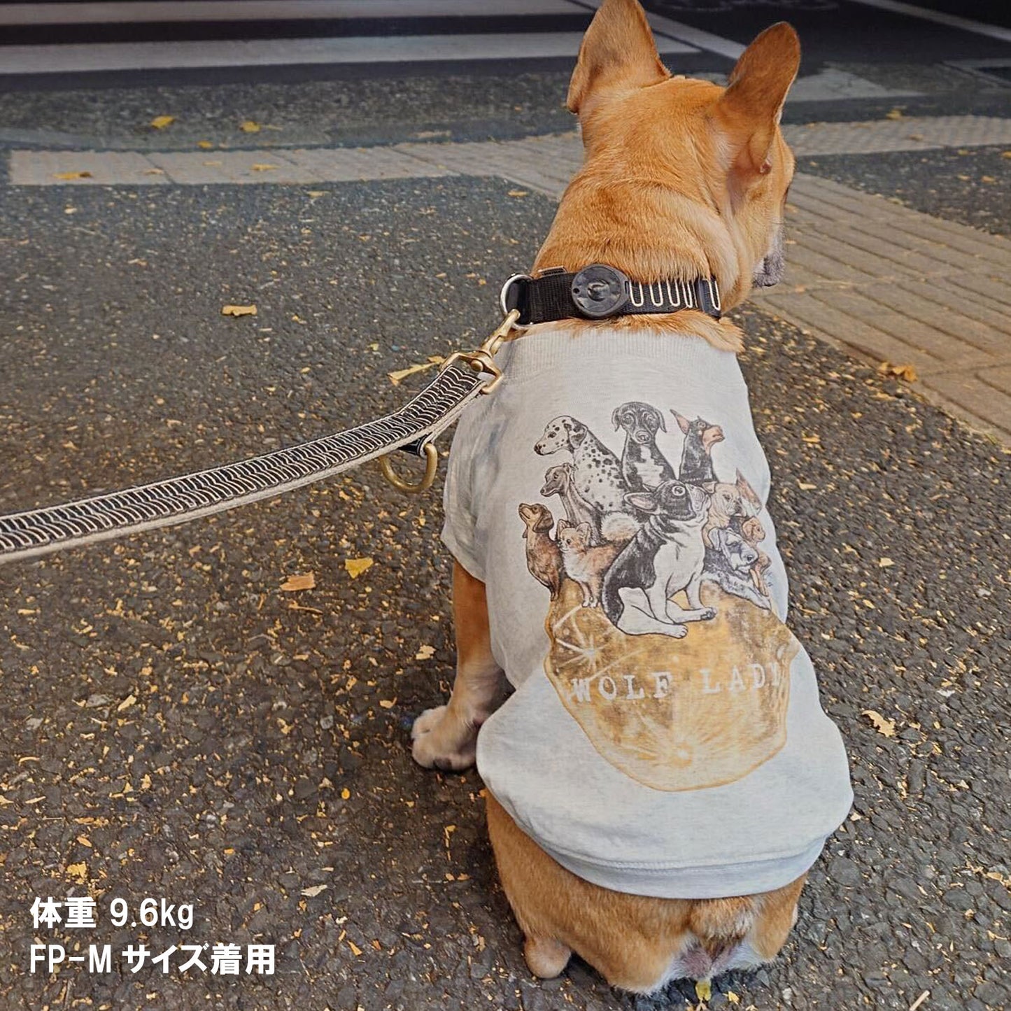 【受注生産！ 12/26 まで予約（1 月中旬～お届け）】 〈WOLFLADY×RUUU.〉 DOG T-SHIRTS/ 犬用T シャツ