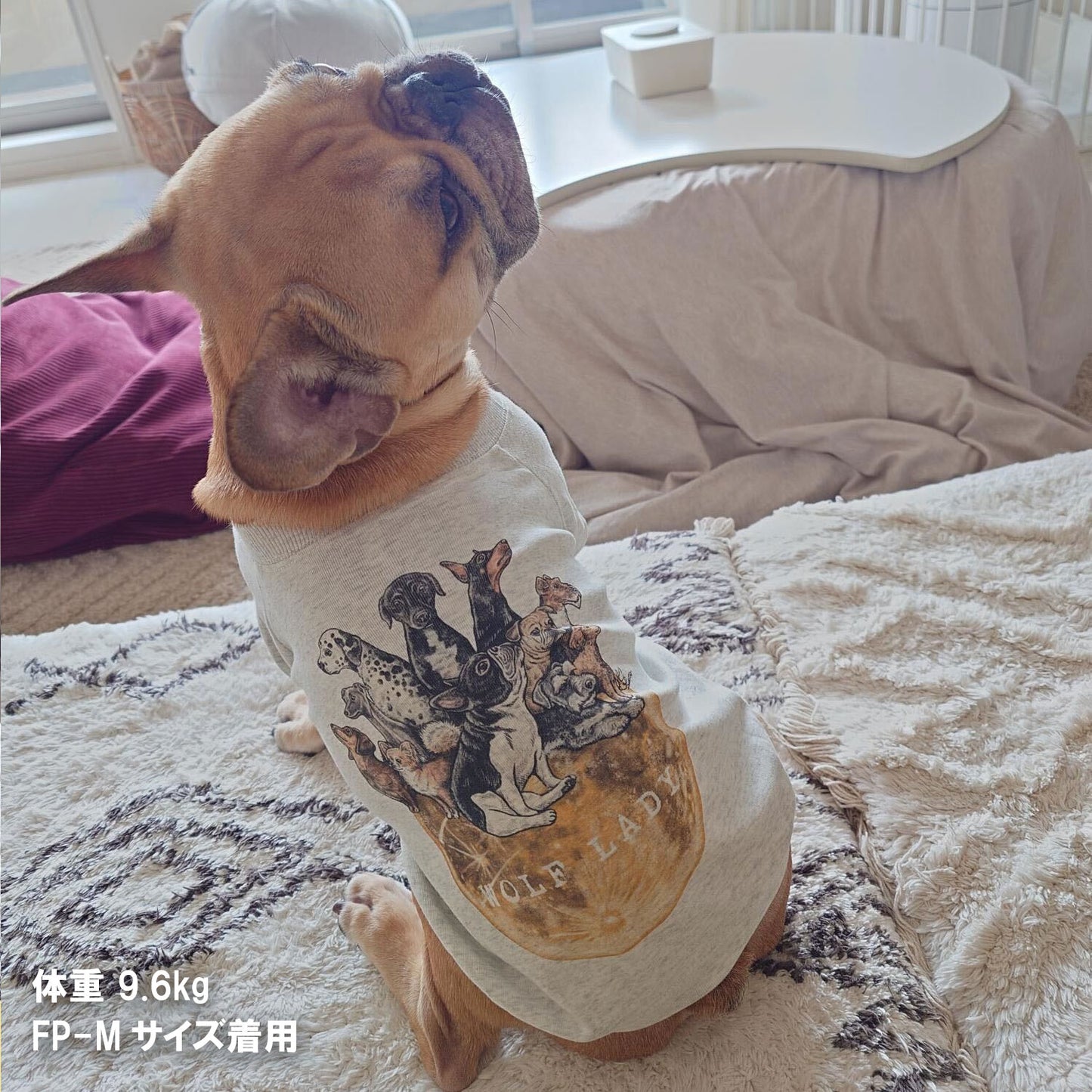 【受注生産！ 12/26 まで予約（1 月中旬～お届け）】 〈WOLFLADY×RUUU.〉 DOG T-SHIRTS/ 犬用T シャツ