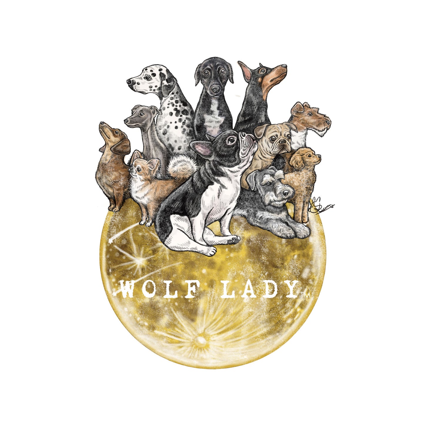 【受注生産！ 12/26 まで予約（1 月中旬～お届け）】 〈WOLFLADY×RUUU.〉 DOG T-SHIRTS/ 犬用T シャツ