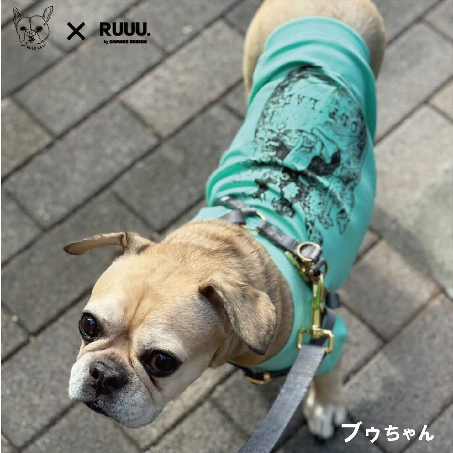 【受注生産！ 12/26 まで予約（1 月中旬～お届け）】 〈WOLFLADY×RUUU.〉 DOG T-SHIRTS/ 犬用T シャツ