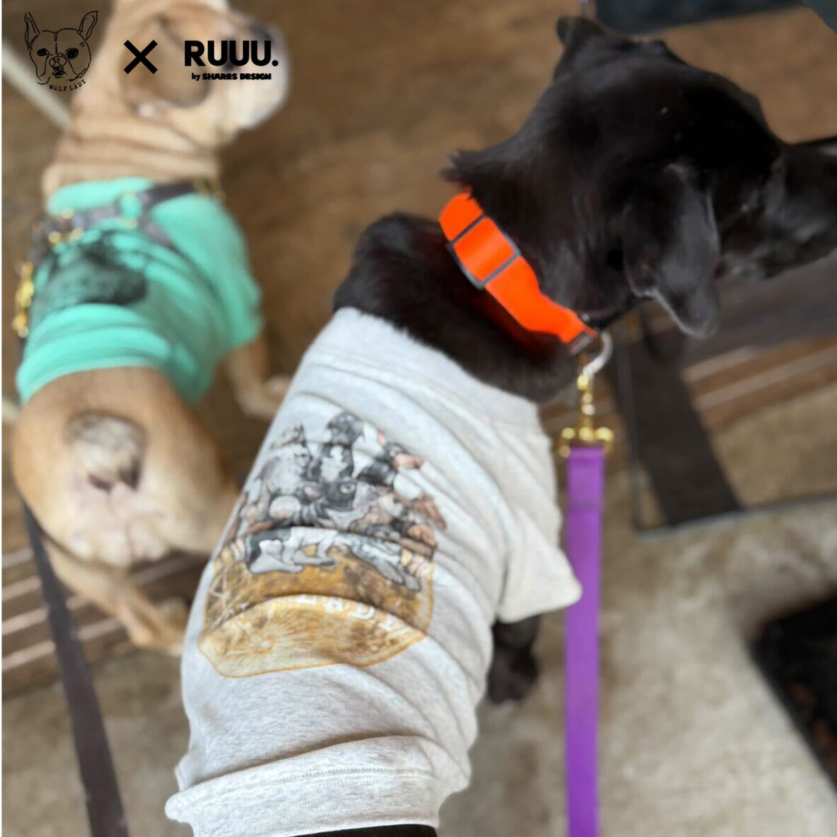 【受注生産！ 12/26 まで予約（1 月中旬～お届け）】 〈WOLFLADY×RUUU.〉 DOG T-SHIRTS/ 犬用T シャツ