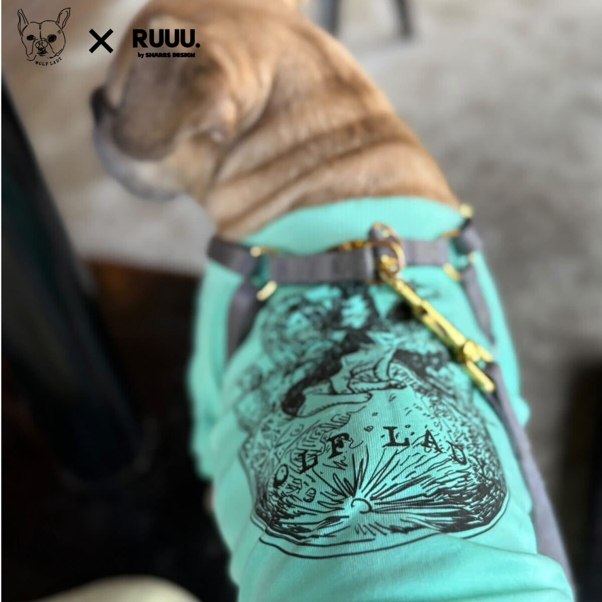 【受注生産！ 12/26 まで予約（1 月中旬～お届け）】 〈WOLFLADY×RUUU.〉 DOG T-SHIRTS/ 犬用T シャツ