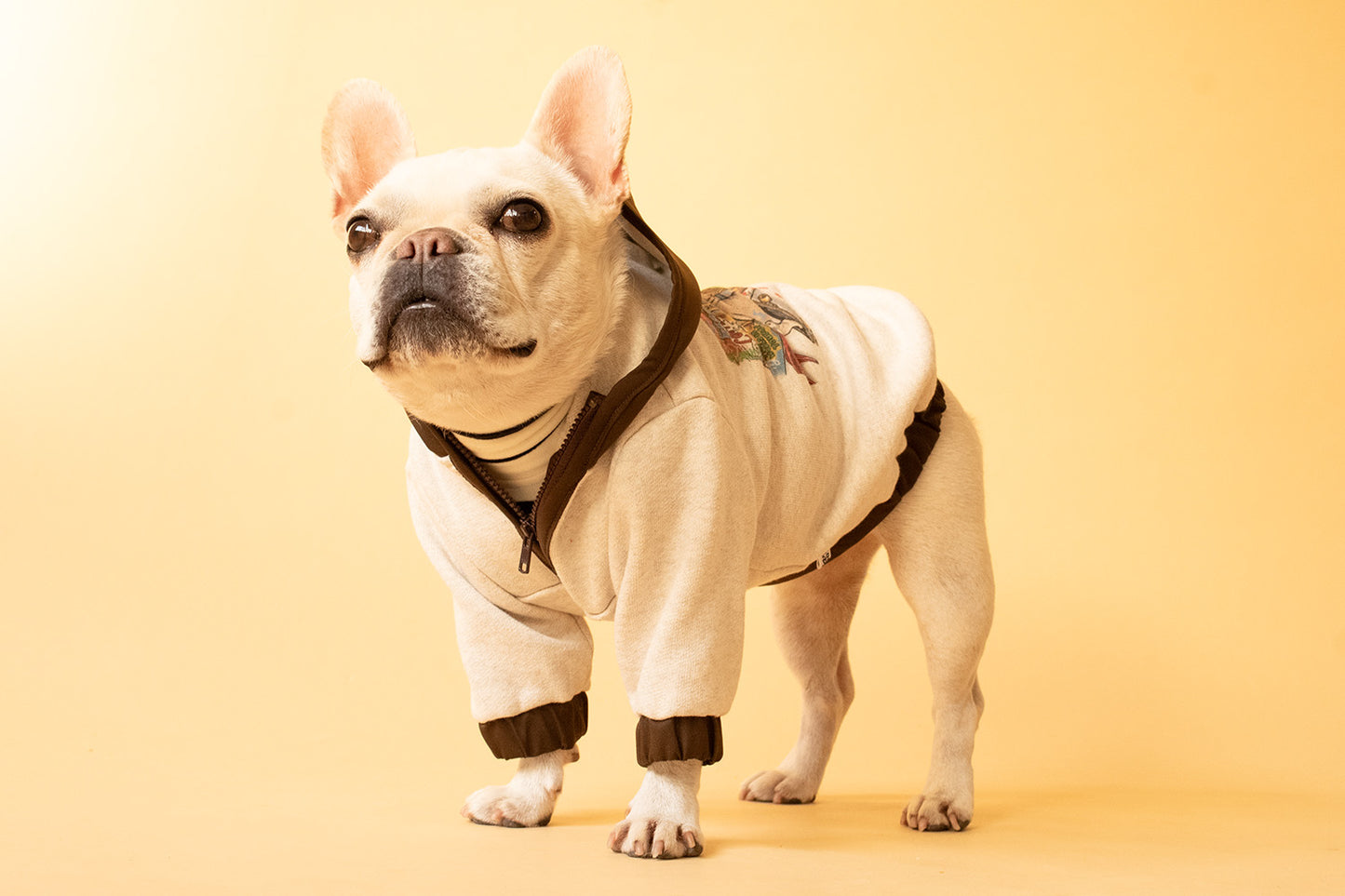 【1週間限定予約！12/17まで！】STAR★BOXx × RUUU. by SHARES DESIGN “BOUNDLESS”  GRAFFITI OUTER/ 犬服 ライトアウター（12/22~発送）