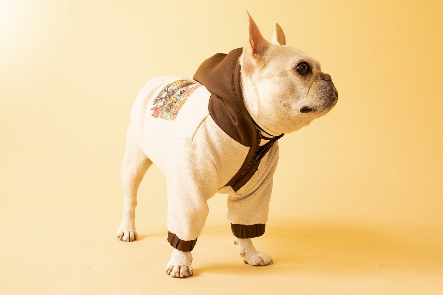 【1週間限定予約！12/17まで！】STAR★BOXx × RUUU. by SHARES DESIGN “BOUNDLESS”  GRAFFITI OUTER/ 犬服 ライトアウター（12/22~発送）