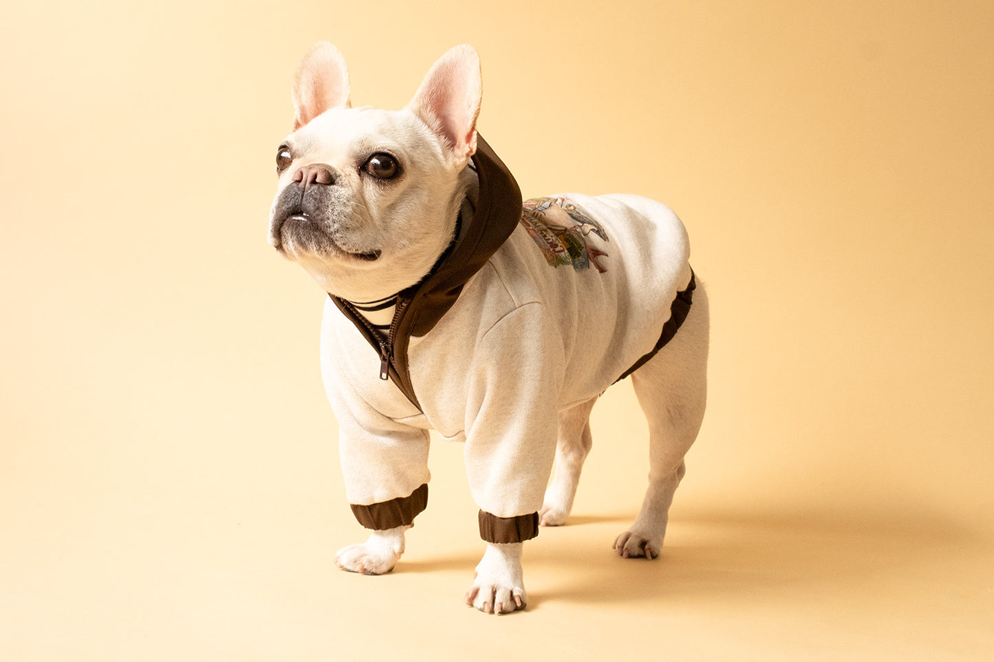 【1週間限定予約！12/17まで！】STAR★BOXx × RUUU. by SHARES DESIGN “BOUNDLESS”  GRAFFITI OUTER/ 犬服 ライトアウター（12/22~発送）