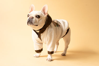 【1週間限定予約！12/17まで！】STAR★BOXx × RUUU. by SHARES DESIGN “BOUNDLESS”  GRAFFITI OUTER/ 犬服 ライトアウター（12/22~発送）