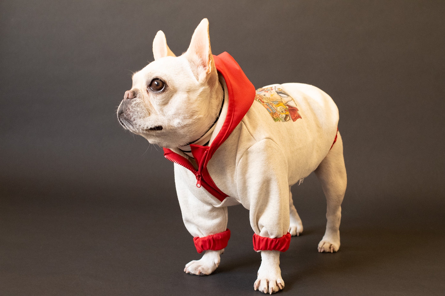 【1週間限定予約！12/17まで！】STAR★BOXx × RUUU. by SHARES DESIGN “BOUNDLESS”  GRAFFITI OUTER/ 犬服 ライトアウター（12/22~発送）