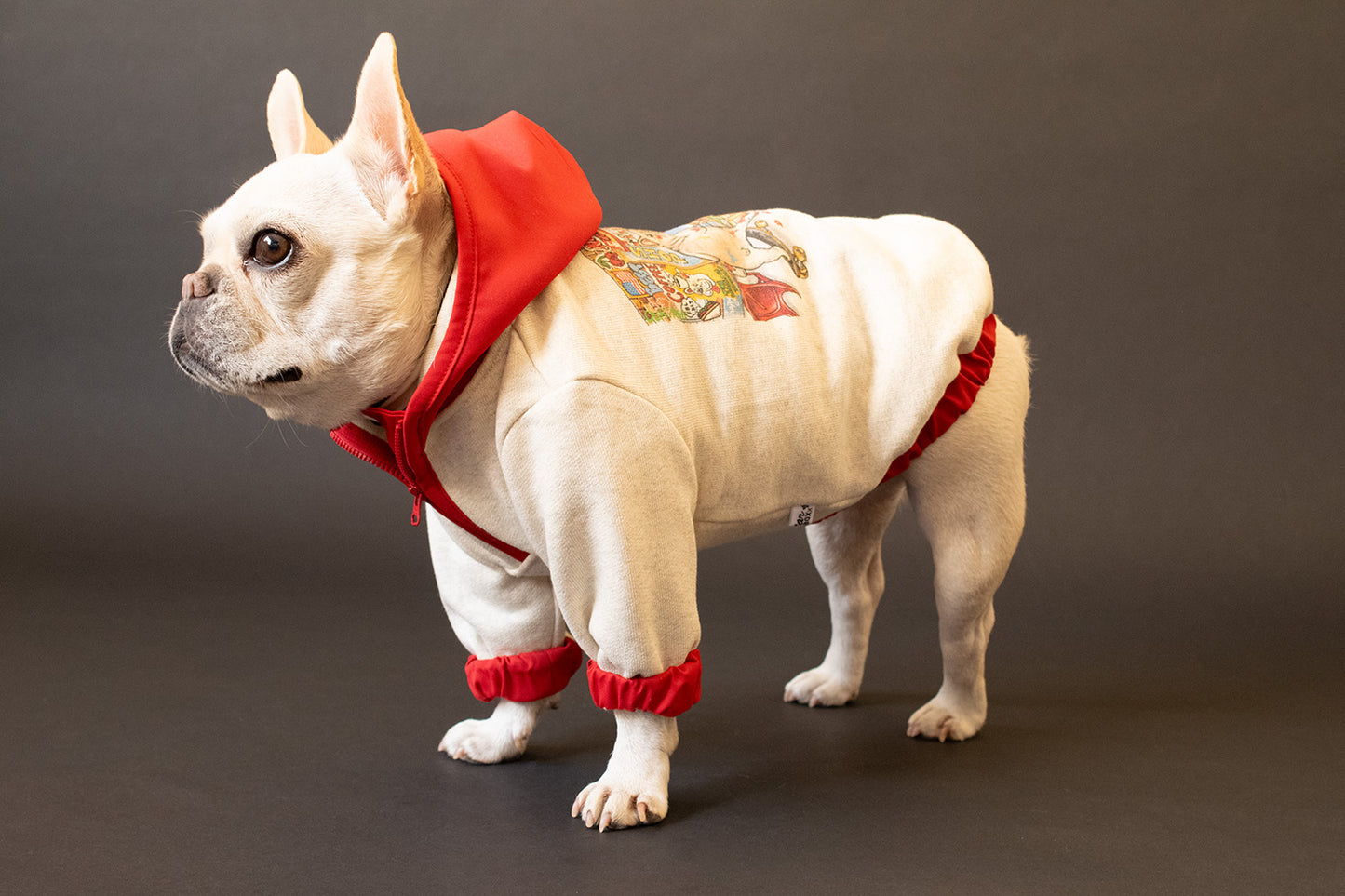 【1週間限定予約！12/17まで！】STAR★BOXx × RUUU. by SHARES DESIGN “BOUNDLESS”  GRAFFITI OUTER/ 犬服 ライトアウター（12/22~発送）