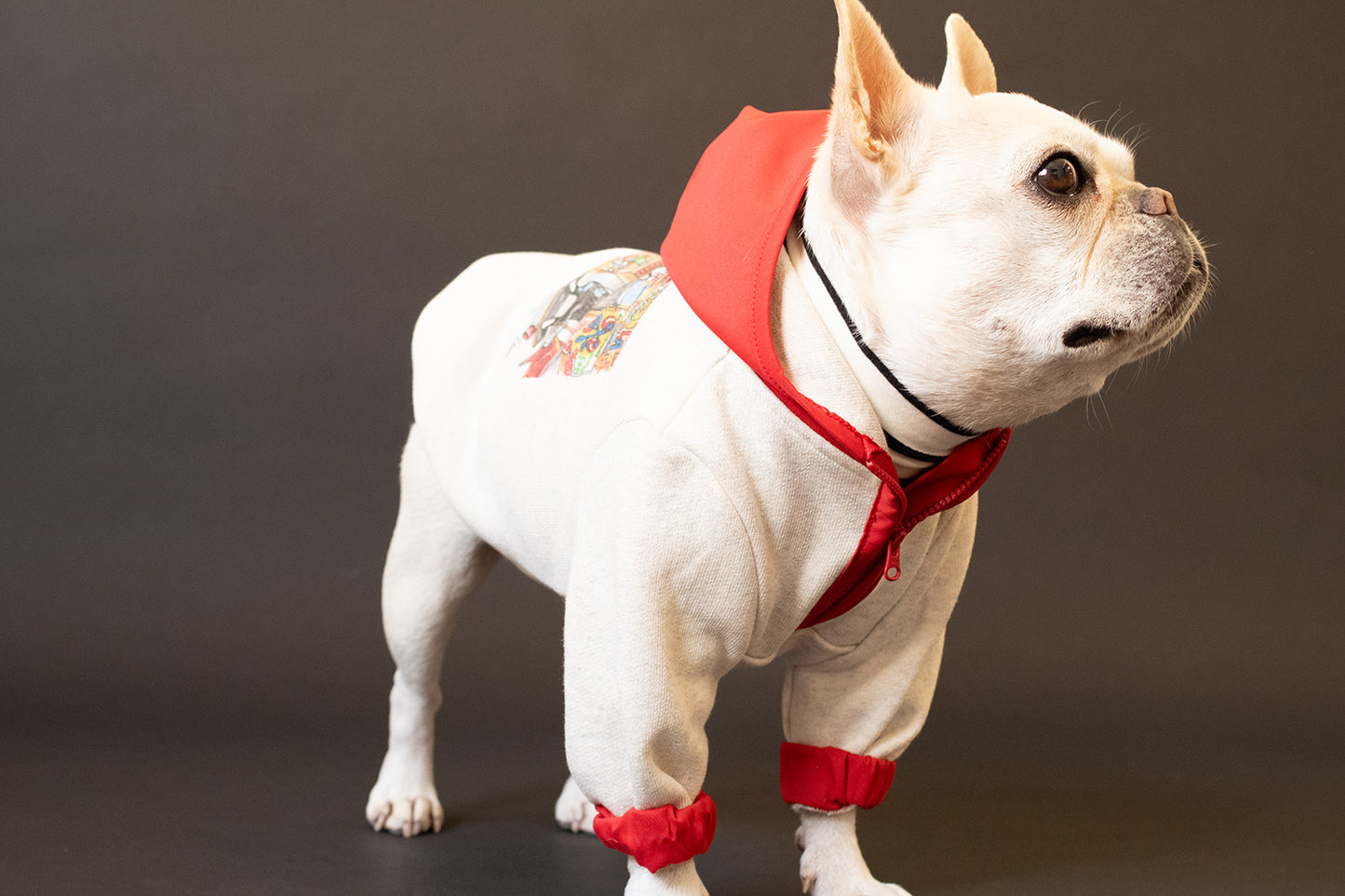 【1週間限定予約！12/17まで！】STAR★BOXx × RUUU. by SHARES DESIGN “BOUNDLESS”  GRAFFITI OUTER/ 犬服 ライトアウター（12/22~発送）