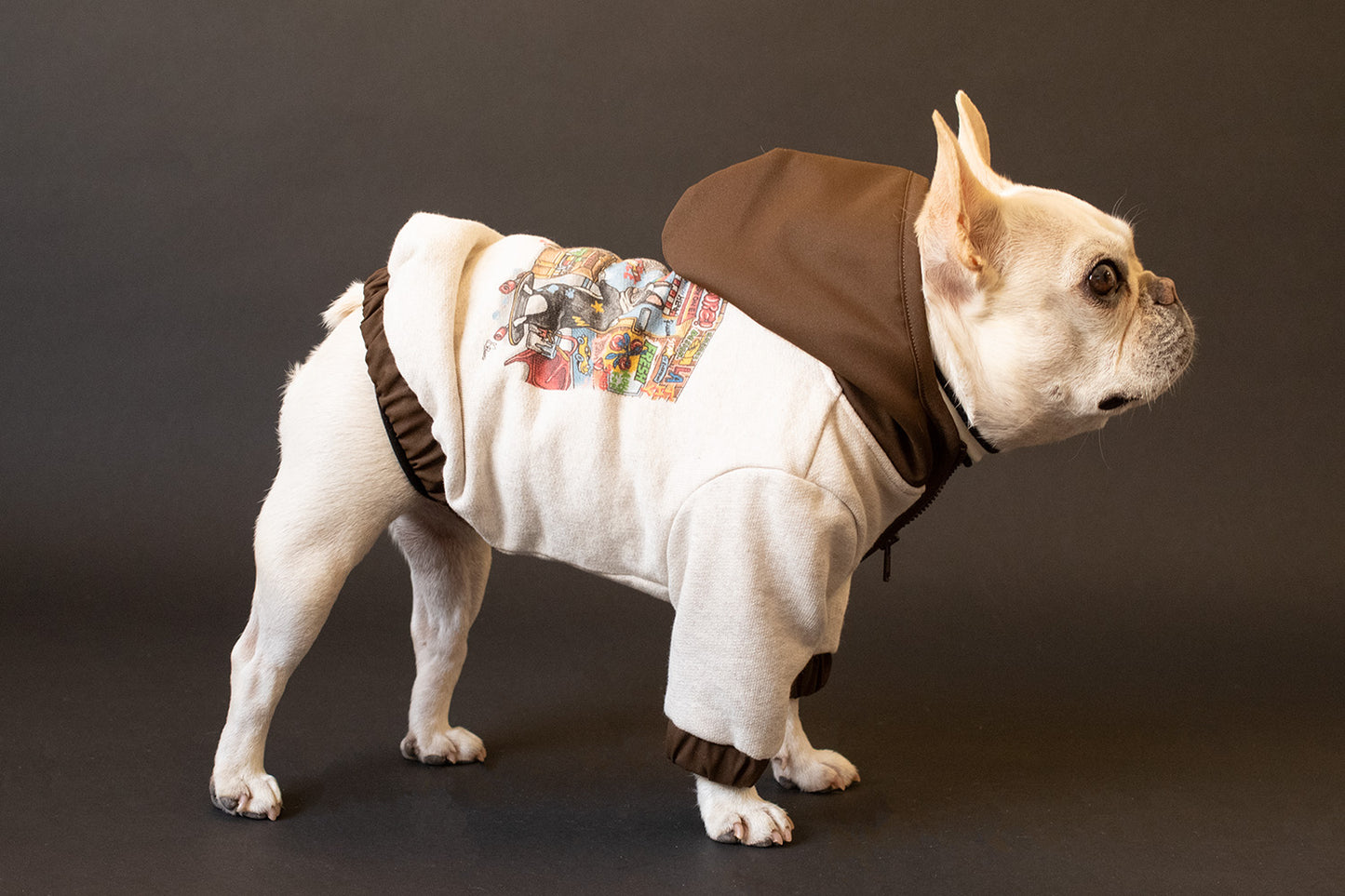 【1週間限定予約！12/17まで！】STAR★BOXx × RUUU. by SHARES DESIGN “BOUNDLESS”  GRAFFITI OUTER/ 犬服 ライトアウター（12/22~発送）