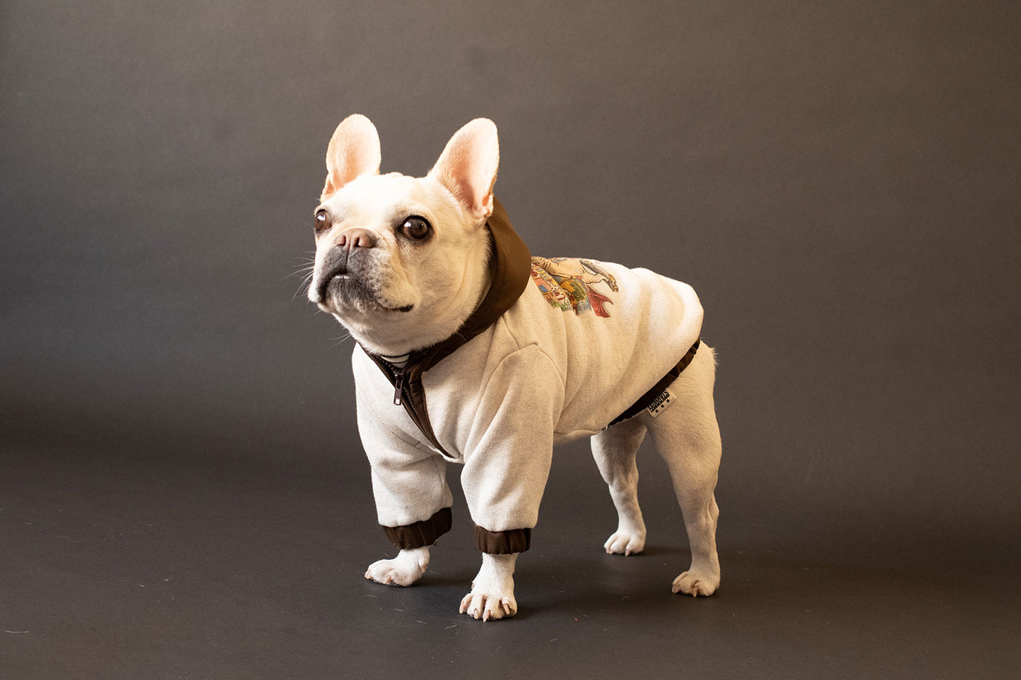 【1週間限定予約！12/17まで！】STAR★BOXx × RUUU. by SHARES DESIGN “BOUNDLESS”  GRAFFITI OUTER/ 犬服 ライトアウター（12/22~発送）