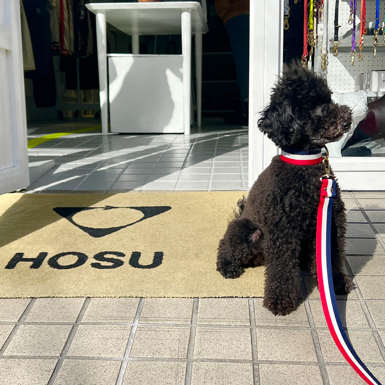 HOSU ストライプ ドッグカラー(30mm幅) 首輪 / 中型大型犬向け