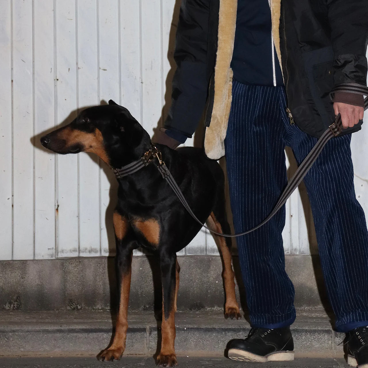 HOSU ストライプ ドッグカラー(30mm幅) 首輪 / 中型大型犬向け