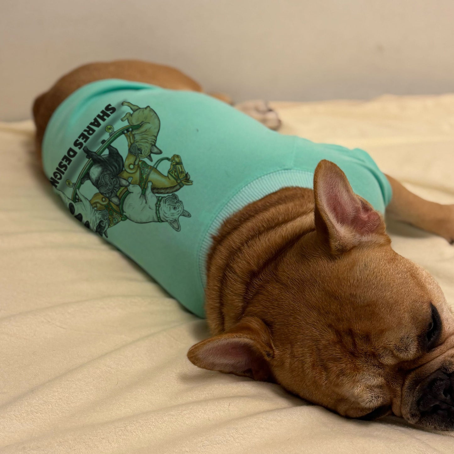 【期間限定！ 1/18 まで予約】 2026 NEW YEAR ITEM DOG T-SHIRTS/ 犬用T シャツ（数量限定）