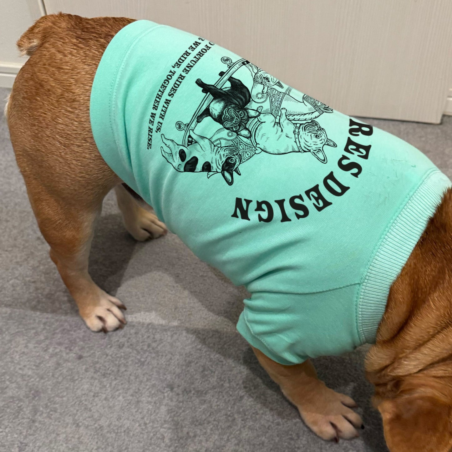 【期間限定！ 1/18 まで予約】 2026 NEW YEAR ITEM DOG T-SHIRTS/ 犬用T シャツ（数量限定）