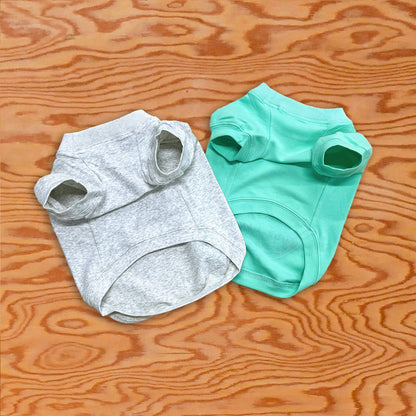 【期間限定！ 1/18 まで予約】 2026 NEW YEAR ITEM DOG T-SHIRTS/ 犬用T シャツ（数量限定）