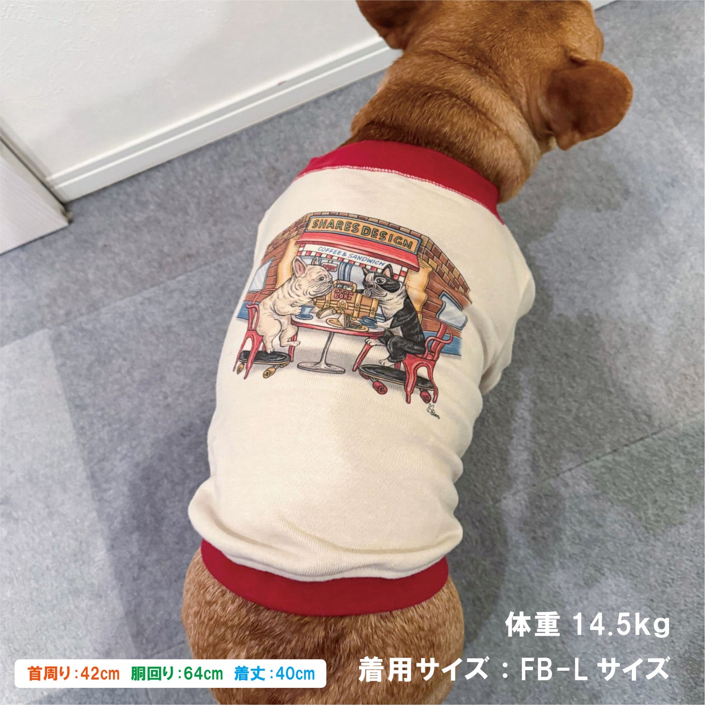 【数量限定！先行予約7/20まで！】STAR★BOXx × RUUU. by SHARES DESIGN  “BOUNDLESS” gazette TEE/ 犬服 ガゼット T シャツ（お届け9/10～）