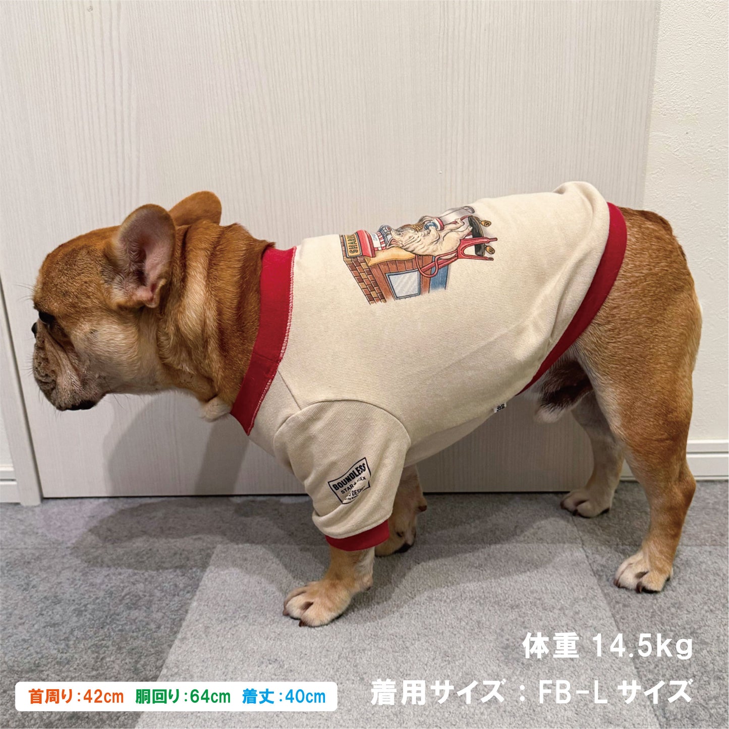 【数量限定！先行予約7/20まで！】STAR★BOXx × RUUU. by SHARES DESIGN  “BOUNDLESS” gazette TEE/ 犬服 ガゼット T シャツ（お届け9/10～）