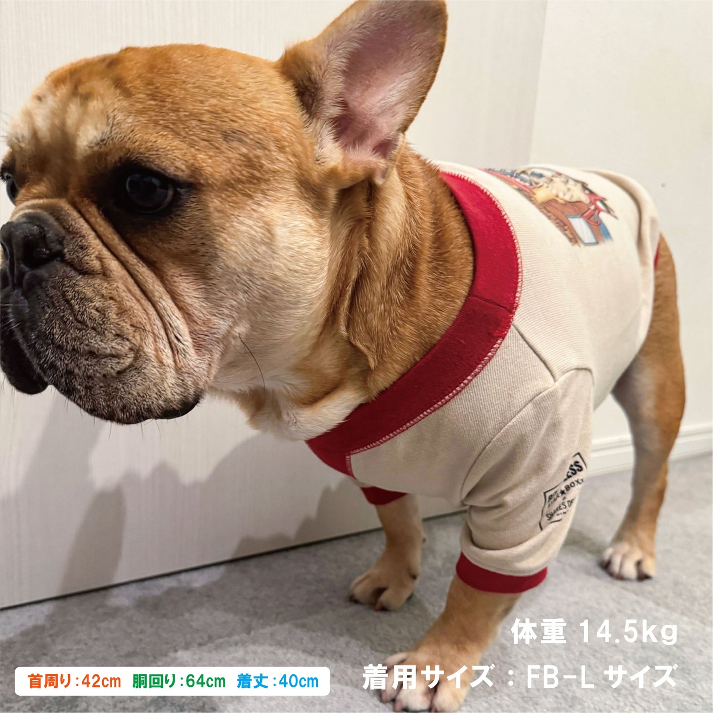 【数量限定！先行予約7/20まで！】STAR★BOXx × RUUU. by SHARES DESIGN  “BOUNDLESS” gazette TEE/ 犬服 ガゼット T シャツ（お届け9/10～）
