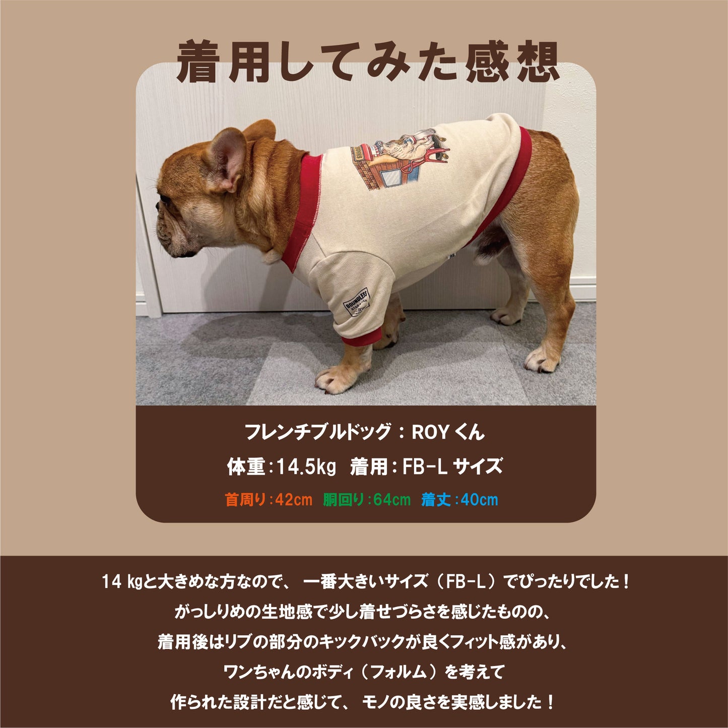 【数量限定！先行予約7/20まで！】STAR★BOXx × RUUU. by SHARES DESIGN  “BOUNDLESS” gazette TEE/ 犬服 ガゼット T シャツ（お届け9/10～）