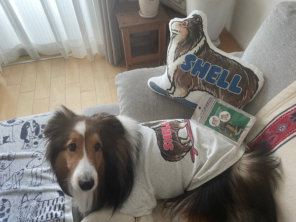 【シェトランシープドッグ】型どりクッション・犬用Tシャツ・キーホルダー＆缶バッチセット