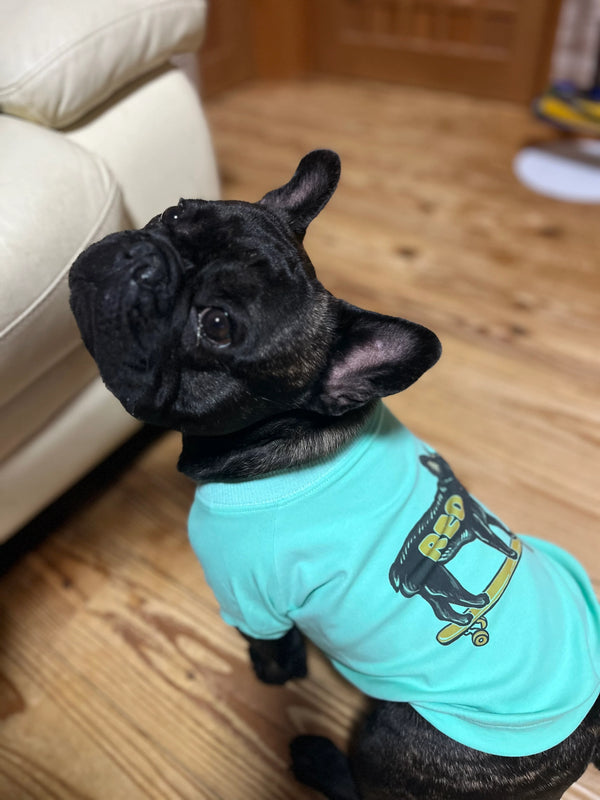 【フレンチブルドッグ】犬用Tシャツ
